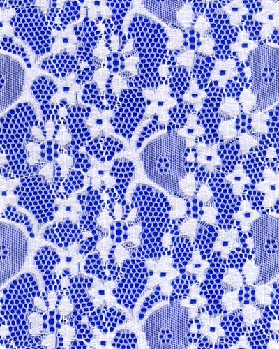 allover lace #2011 (Allover кружевом # 2011)