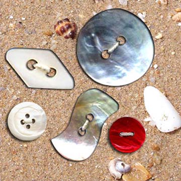 Shell Button (Shell Button)
