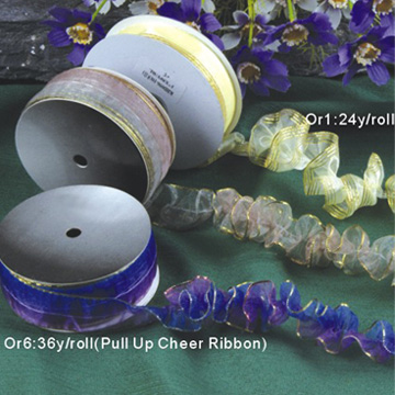 Pull Up Organza Ribbon (Pull Up Organza Ribbon)