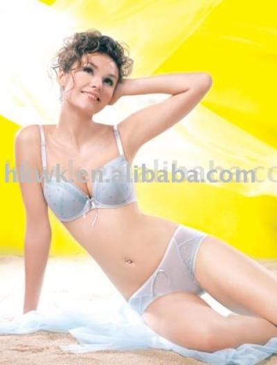 8681 ladies` underwear (8681 ladies` underwear)