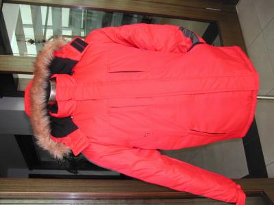 men`s padding jacket (men`s padding jacket)