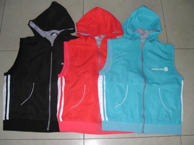 ladie`s vest (Ladie `s Weste)
