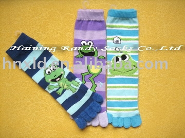 Five Toe Socks (Five Toe Socks)