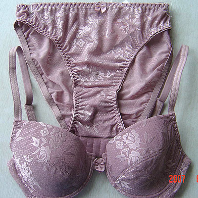 lady`s bra %26 brief set (lady`s bra %26 brief set)