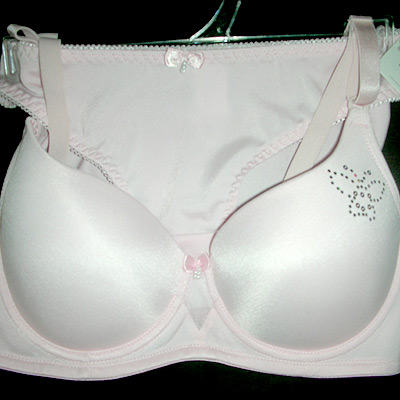 lady`s bra %26 brief set (lady`s bra %26 brief set)