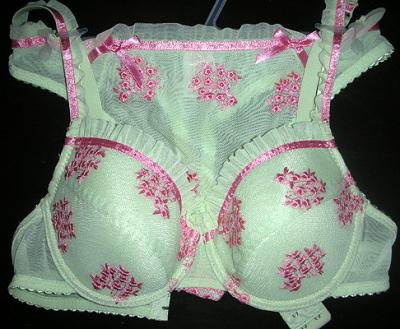 lady`s bra%26brief set (lady`s bra%26brief set)