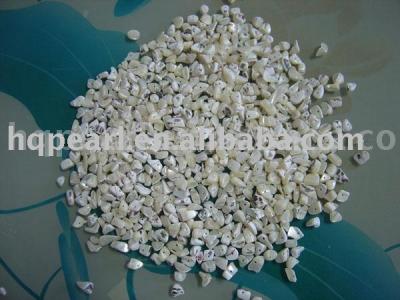 sea shell beads (бус морских ракушек)