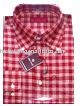 shirt (shirt)