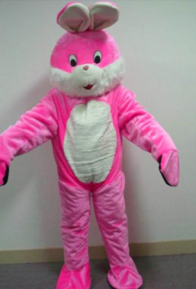 Adult Cartoon Costume (Adult Cartoon Costume)