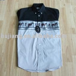 shirt (shirt)