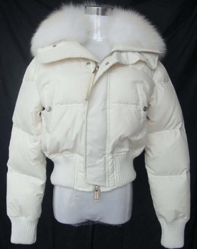 Ladies` Down Jacket (Ladies` Down Jacket)