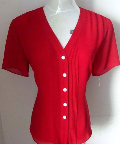 Ladies` Blouse (Ladies` Blouse)