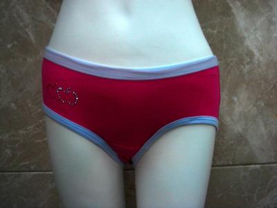 ladies briefs (ladies briefs)