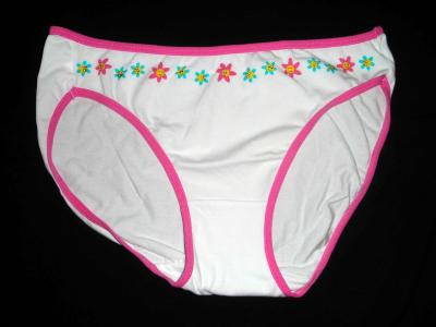 ladies briefs (ladies briefs)