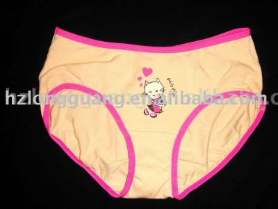 ladies briefs (ladies briefs)