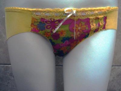 women briefs (women briefs)