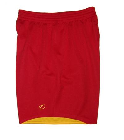 soccer shorts (Shorts de football)