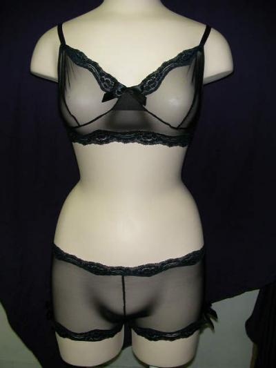 Ladies Bustier And Panty Set