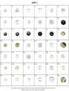 Polyester Buttons (Polyester-Buttons)