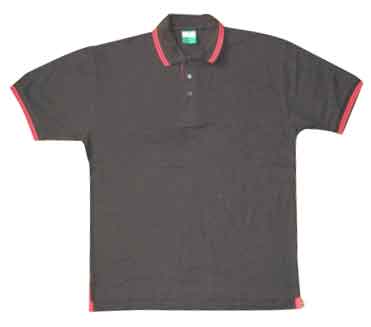 Men`s Polo Shirt (Men `s Polo Shirt)