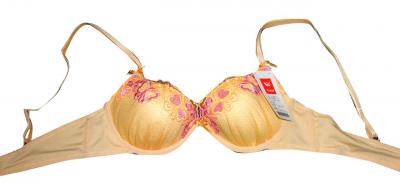 Brassiere