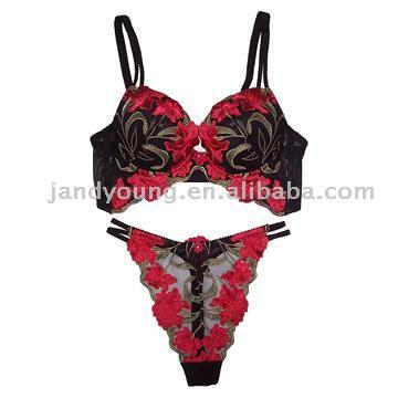 Embroidered Supportive Bras and Matching String (Embroidered Supportive Bras and Matching String)