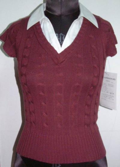 Ladies` Sweater (Ladies `Sweater)