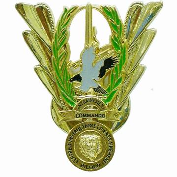 Emblem Lapel Pins