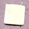 Bone Button (Bone Button)