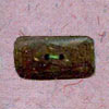 Bone Button (Bone Button)