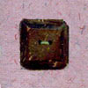 Bone Button (Bone Button)