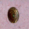 Bone Button (Bone Button)