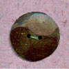 Bone Button (Bone Button)