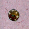 Bone Button (Кость кнопки)