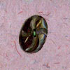 Bone Button (Кость кнопки)
