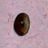 Bone Button (Кость кнопки)