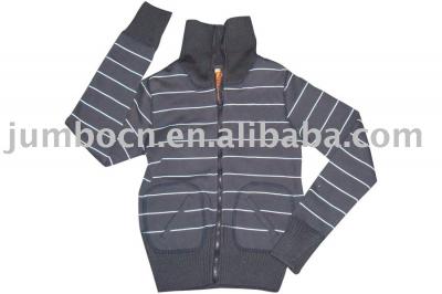 Ladies `Jumper (Ladies `Jumper)