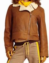 fur garment (fur garment)