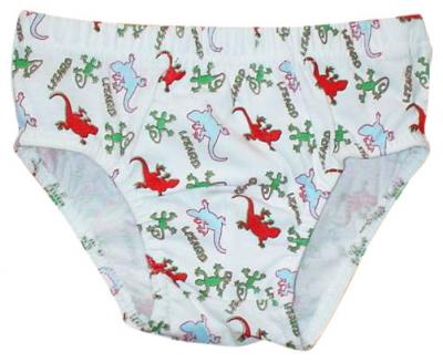 Boys` Briefs (Boys `Briefs)