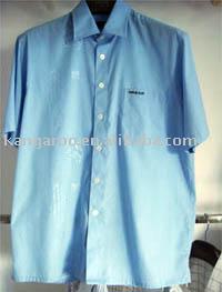 shirt (shirt)