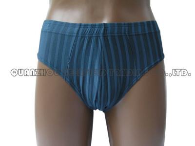 BRIEFS (BRIEFS)
