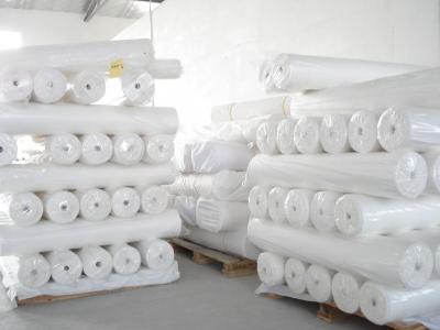 interlining (Interlining)