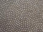 Woven and Nonwoven Interlining for Garment (Woven and Nonwoven Interlining for Garment)