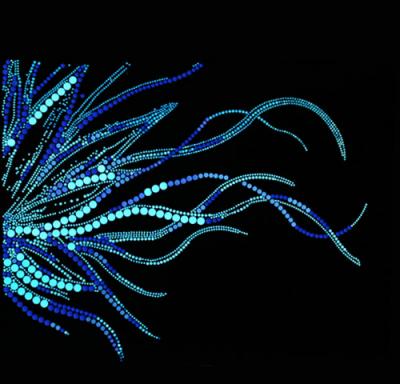 Hot Fix Motif Spangle Sequins (Motif Hot Fix Spangle Sequins)