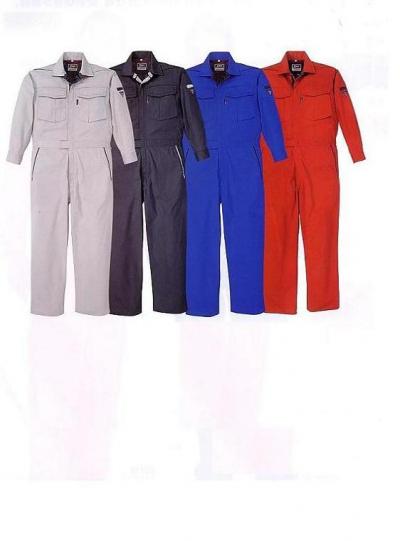 overall workwear (allgemeine Arbeits-und Berufsbekleidung)