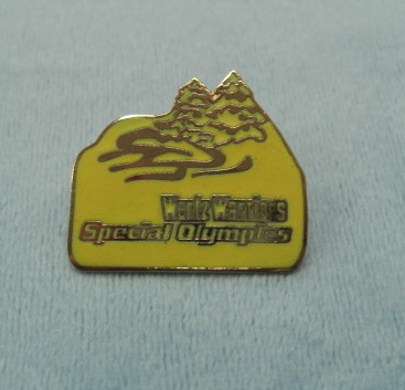 Hard enamel Badges (Émaillés Badges)