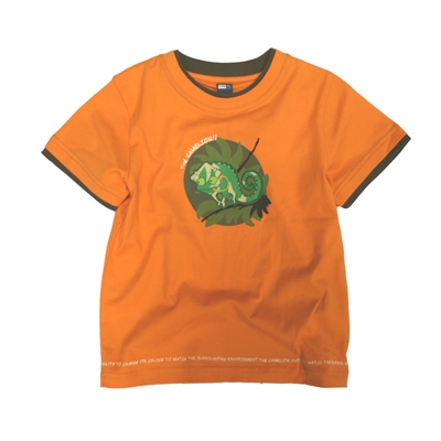 Baby boy Dinosaur T-shirt (solid) (3362003) (Baby boy Dinosaur T-shirt (solid) (3362003))