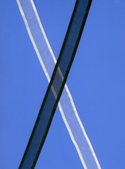 Organza Ribbon with Satin Edge (Органзы с атласной лентой Edge)