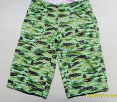 Men`s board shorts (Men`s board shorts)