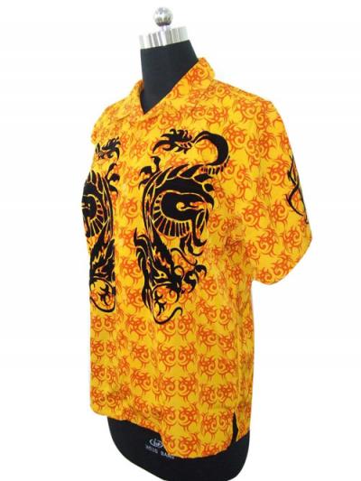 Men`s shirt (Men`s shirt)